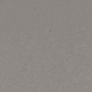 fossil-gray-quartz (1)