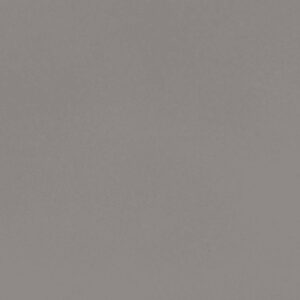 Fossil Gray